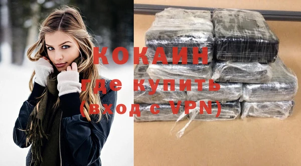 соль ск Абаза