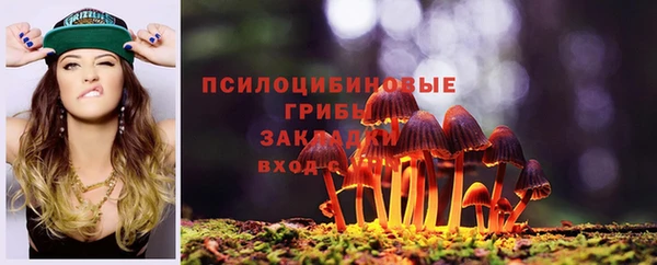 соль ск Абаза