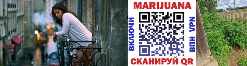 дарнет шоп  Камызяк  МАРИХУАНА ГИДРОПОН 